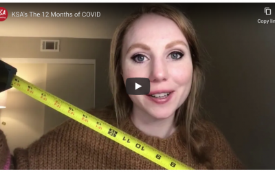 The 12 Months of COVID